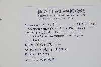 小錦蘭藏品圖，第2張