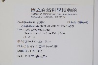 鷗蔓藏品圖，第2張