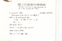 鵝仔草藏品圖，第2張