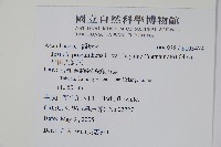 早田氏爵床藏品圖，第2張