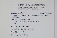 早田氏爵床藏品圖，第2張