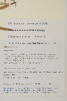 旋葉香青藏品圖，第2張