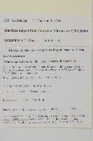 狹葉兔兒風藏品圖，第2張