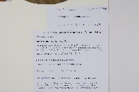 登錄號:S105625藏品圖，第2張