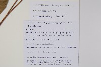 錐序水東哥藏品圖，第2張