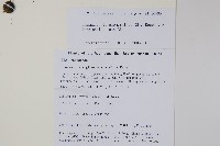 登錄號:S105634藏品圖，第2張