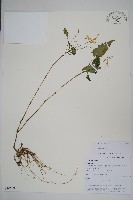 登錄號:S105680藏品圖，第1張