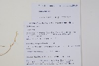 登錄號:S105680藏品圖，第2張