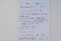 普剌特草藏品圖，第2張