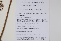 登錄號:S105730藏品圖，第2張