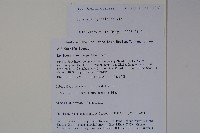 裡白忍冬、紅腺忍冬藏品圖，第2張