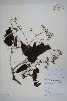 登錄號:S105774藏品圖，第1張