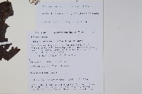 登錄號:S105774藏品圖，第2張