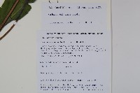 冇骨消藏品圖，第2張