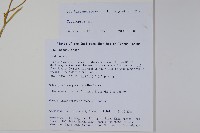 登錄號:S105788藏品圖，第2張