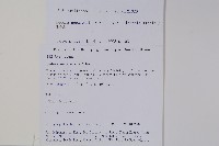 常春藤藏品圖，第2張