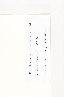 蘭坪胡頹子藏品圖，第3張