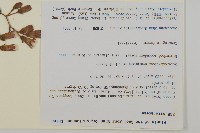 登錄號:S105892藏品圖，第2張