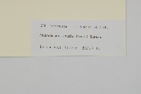 下田菊藏品圖，第3張