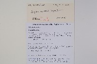 青蛇藤藏品圖，第2張