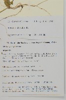 荷蓮豆草、菁芳草藏品圖，第2張