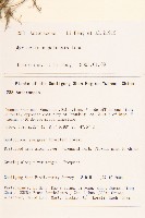 圓舌粘冠草藏品圖，第2張