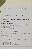 白花鬼針藏品圖，第2張