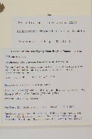 菊葉魚眼草藏品圖，第2張