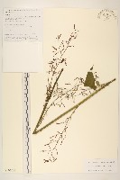 登錄號:S106053藏品圖，第1張