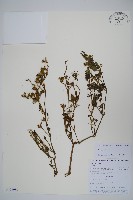 登錄號:S106080藏品圖，第1張