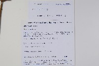 登錄號:S106080藏品圖，第2張