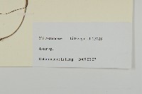 登錄號:S106124藏品圖，第3張