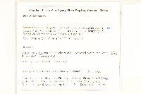 革苞千里光藏品圖，第2張