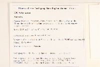 蔓黃菀藏品圖，第2張