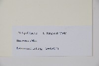 登錄號:S106223藏品圖，第2張