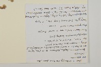 牛尾蒿藏品圖，第2張