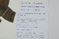 登錄號:S106246藏品圖，第2張