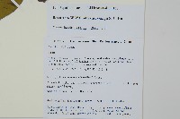 登錄號:S106257藏品圖，第2張