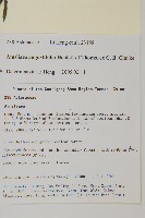 狹葉兔兒風藏品圖，第2張