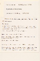 千星菊藏品圖，第2張