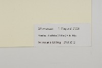 台灣鬼督郵藏品圖，第3張