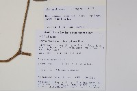 登錄號:S106356藏品圖，第2張