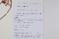 錐序水東哥藏品圖，第2張