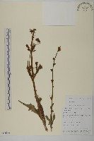 登錄號:S106388藏品圖，第1張