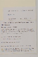 登錄號:S106388藏品圖，第2張