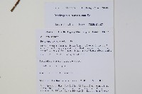 登錄號:S106402藏品圖，第2張