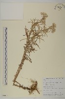 登錄號:S106427藏品圖，第1張