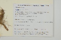 登錄號:S106427藏品圖，第2張