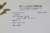 登錄號:S106454藏品圖，第2張