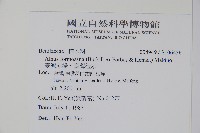 臺灣赤楊、臺灣榿木藏品圖，第2張